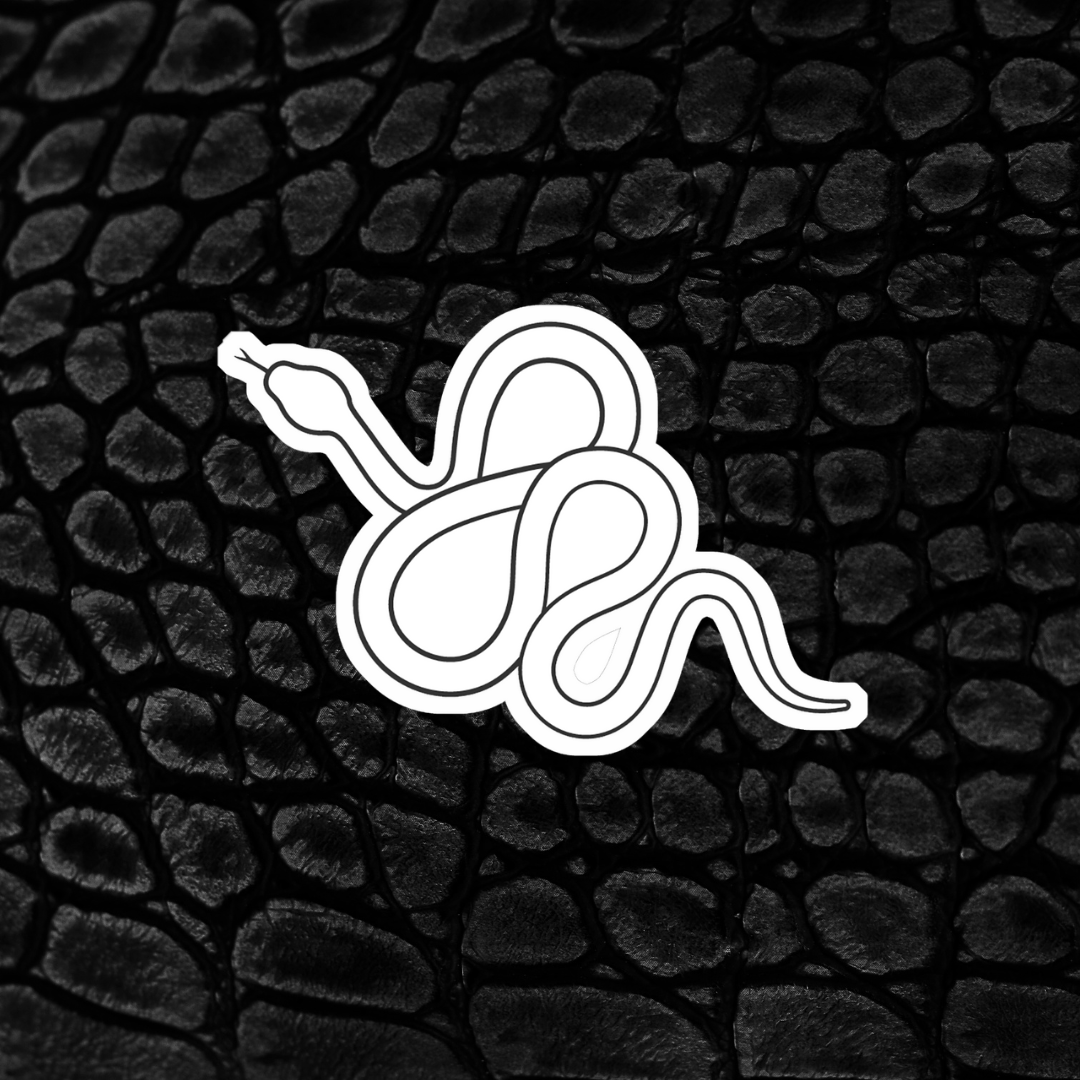 Snake Colorable Sticker - Vinyl Sticker YOU Color