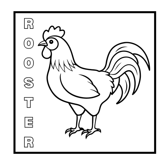 Birds Mini Coloring Book