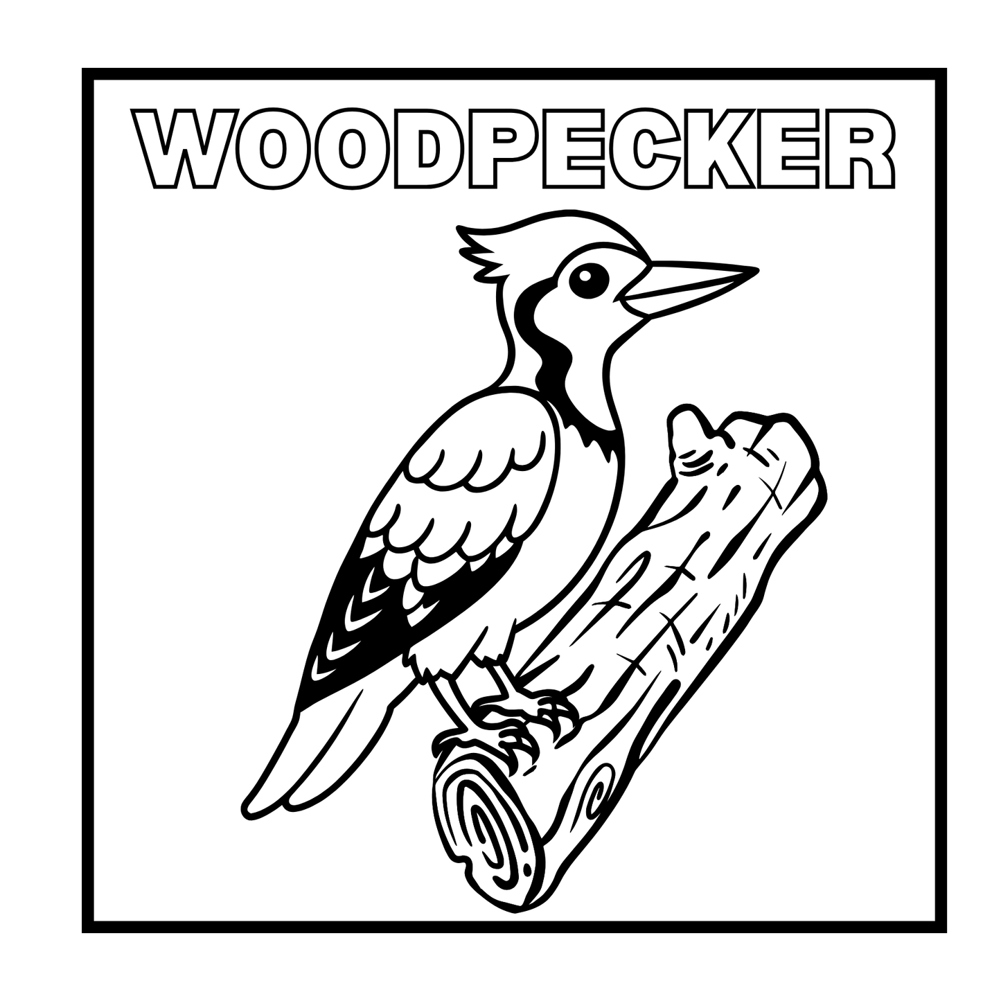 Birds Mini Coloring Book