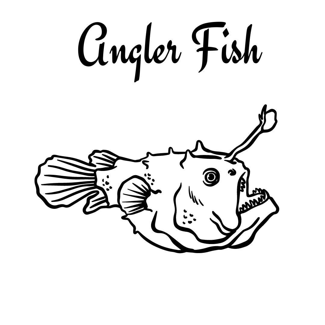 Ocean Creatures Coloring Book