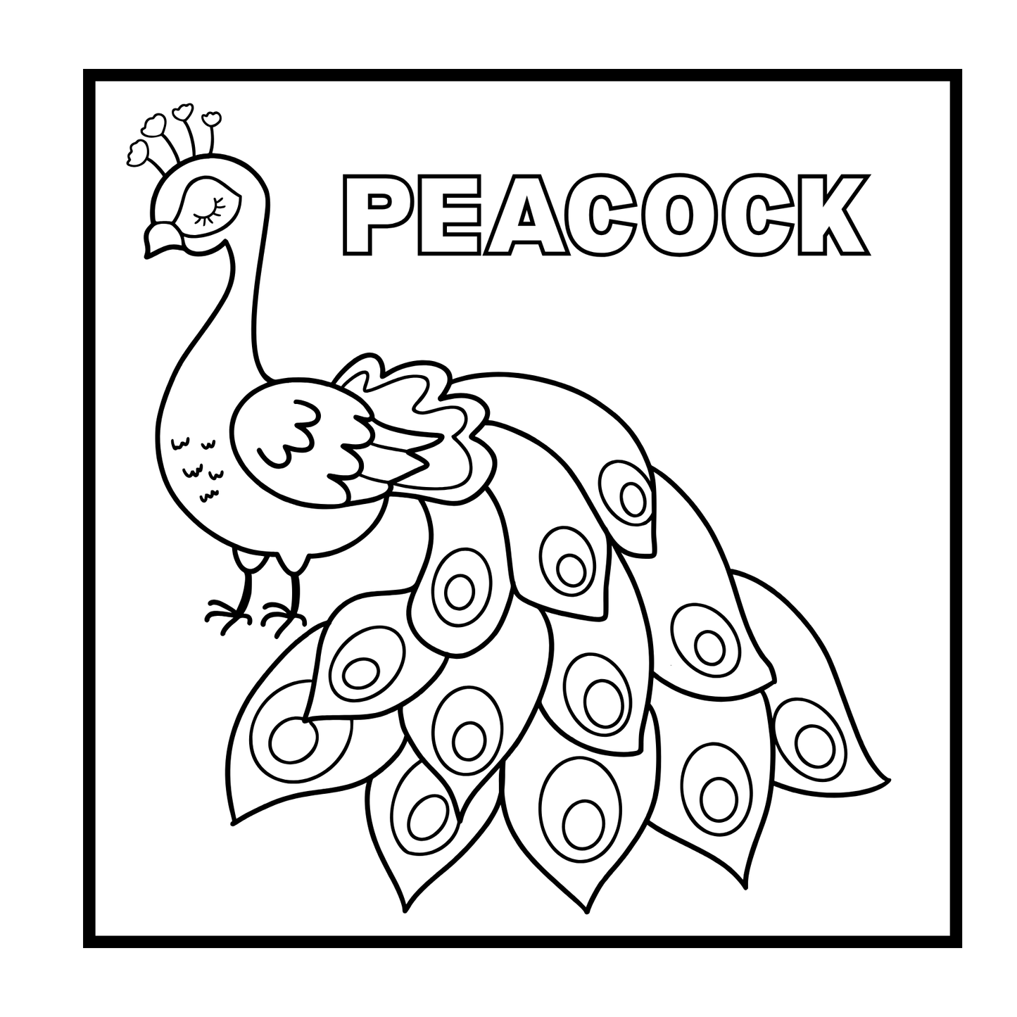 Birds Mini Coloring Book