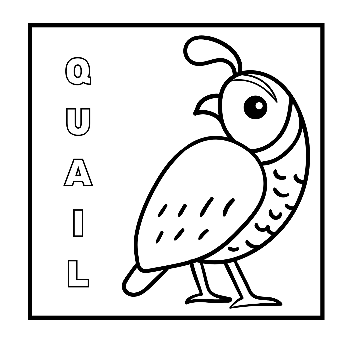 Birds Mini Coloring Book