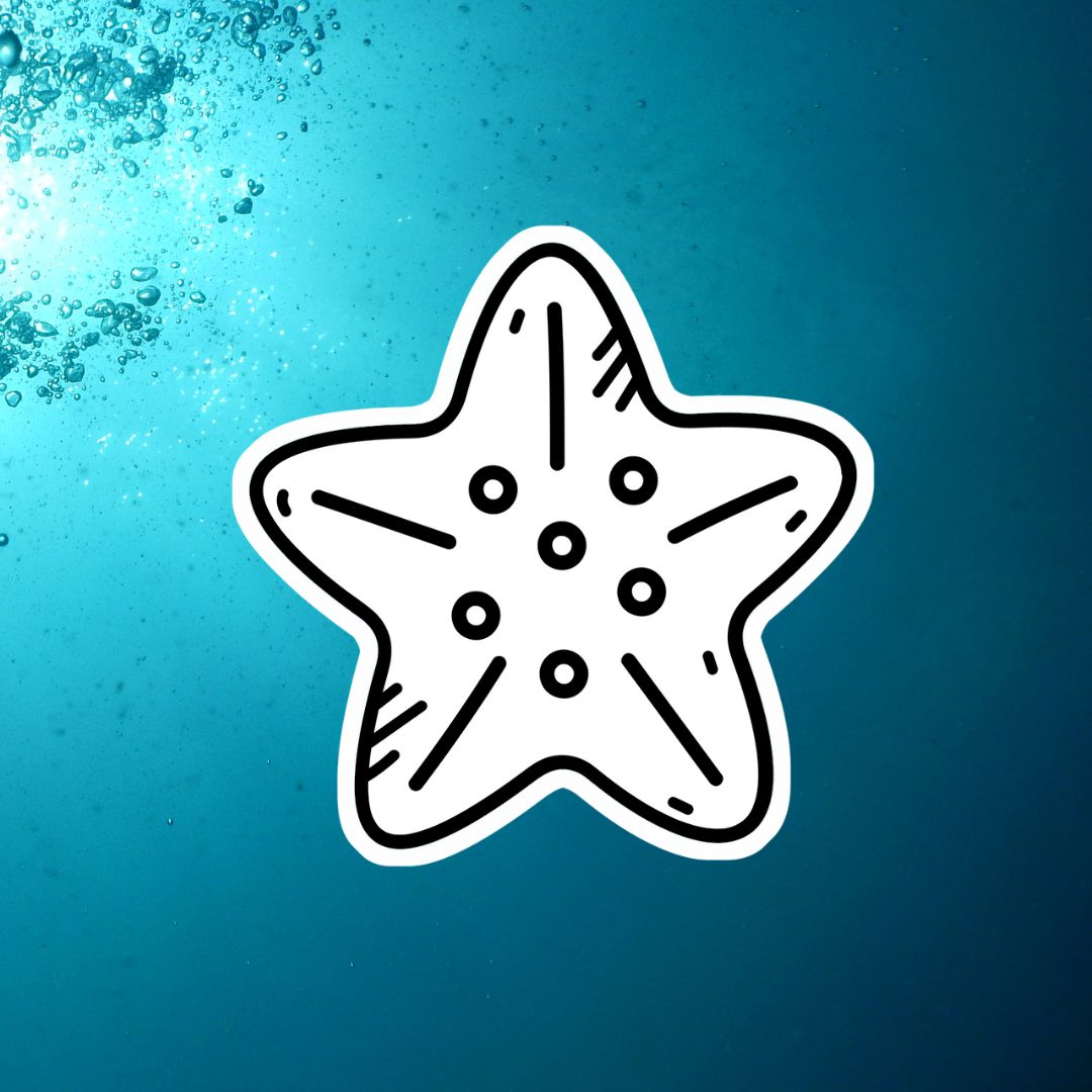 Under The Sea Colorable Stickers Pack