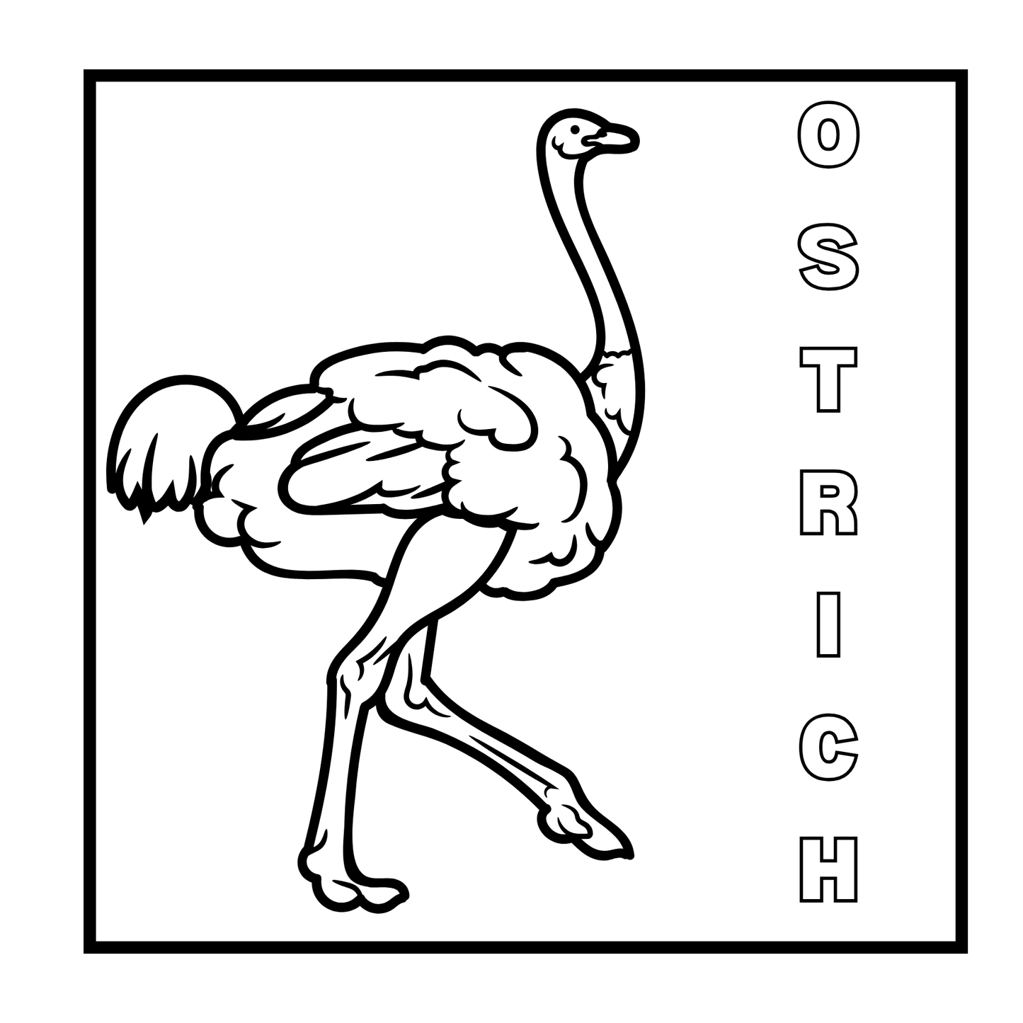 Birds Mini Coloring Book