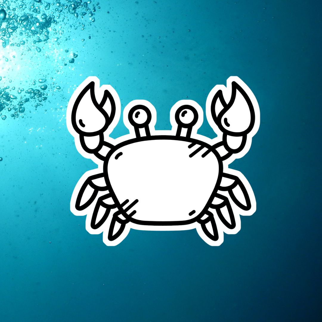 Under The Sea Colorable Stickers Pack