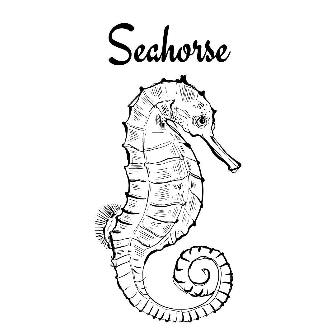 Ocean Creatures Coloring Book