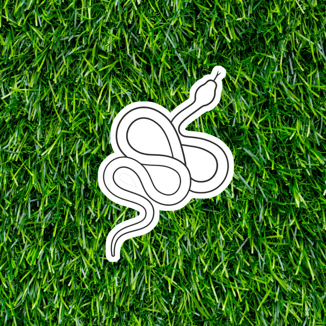 Snake Colorable Sticker - Vinyl Sticker YOU Color