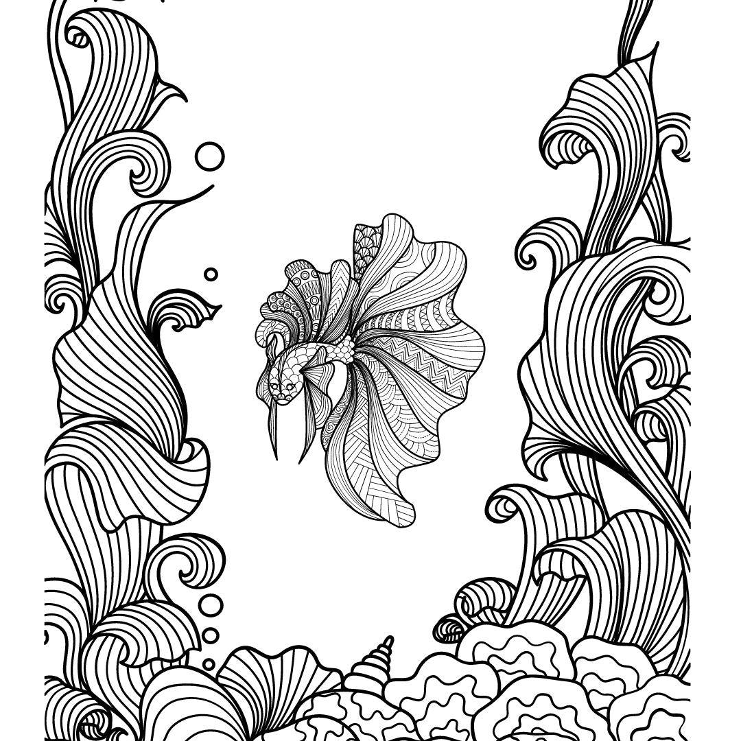 Nature Mandalas Coloring Book