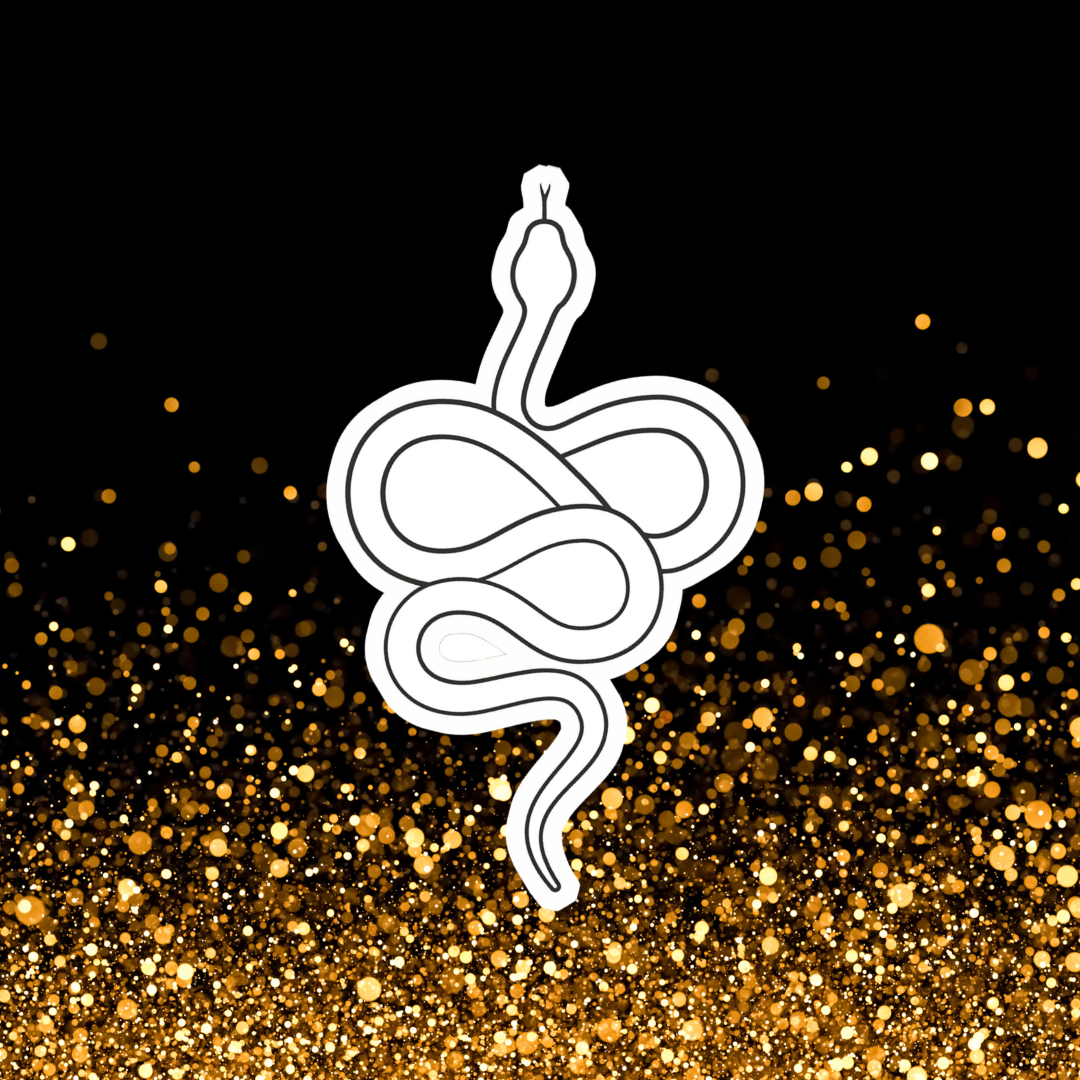 Snake Colorable Sticker - Vinyl Sticker YOU Color