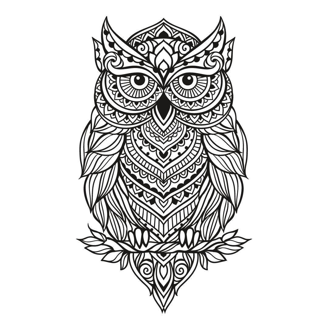 Nature Mandalas Coloring Book