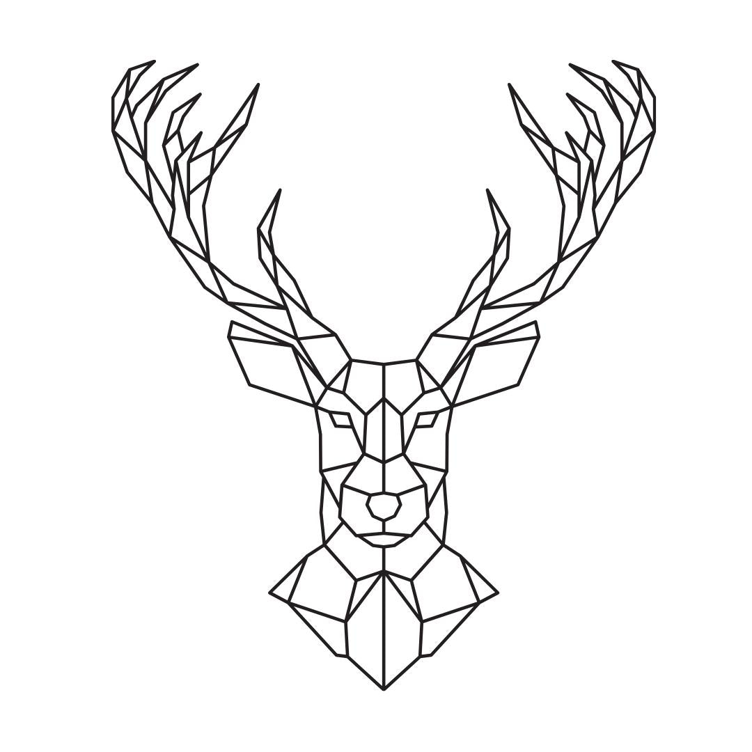 Geometric Animals Coloring Book