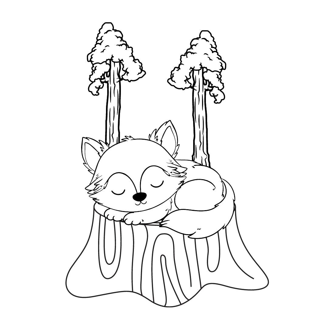 Warm & Cozy Autumn Coloring Book