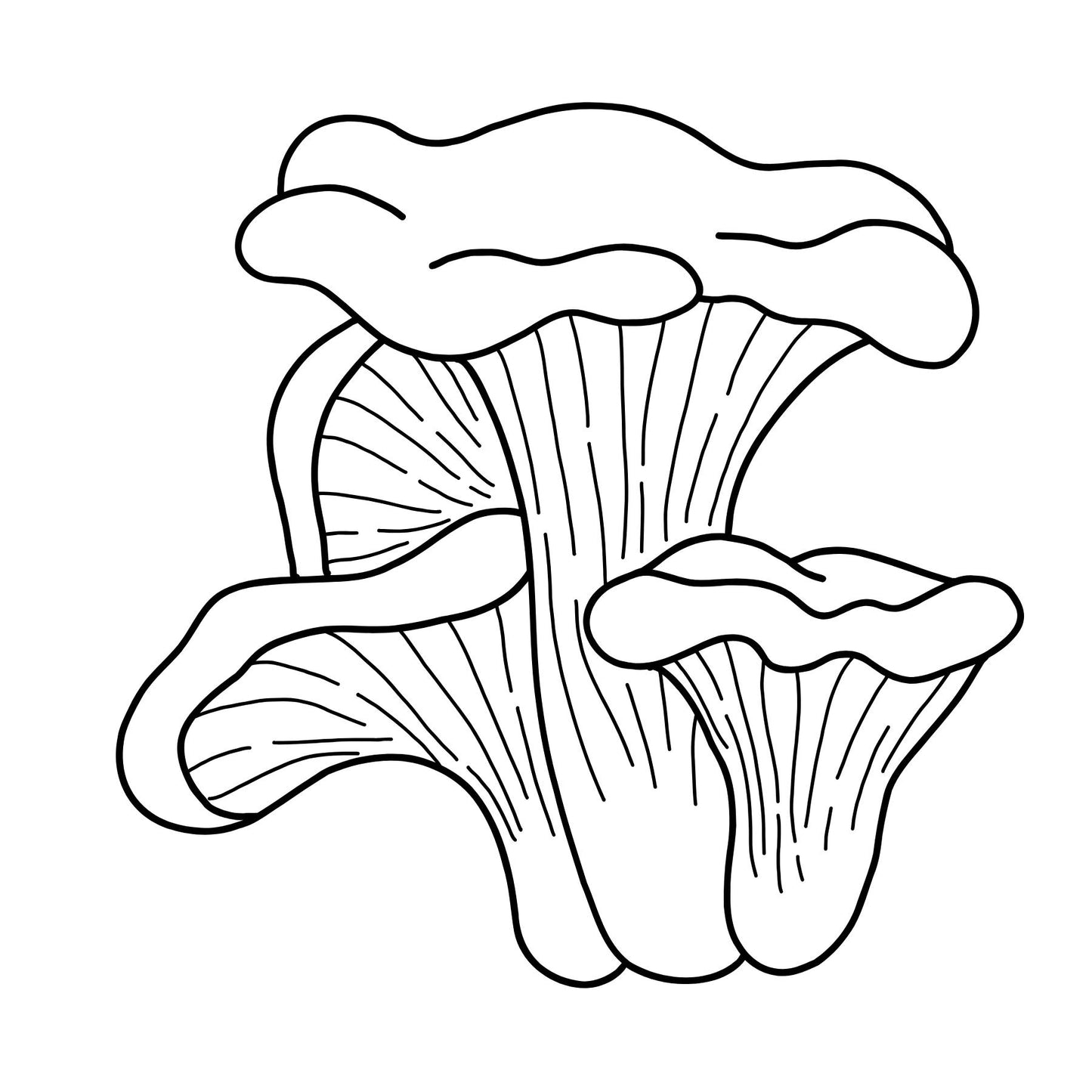 Mushrooms Mini Coloring Book
