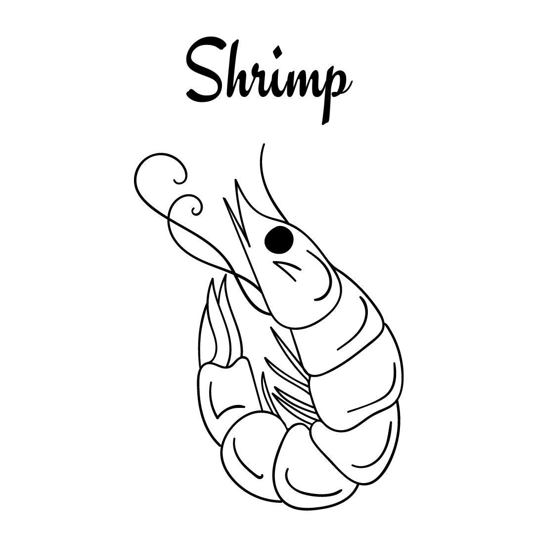 Ocean Creatures Coloring Book