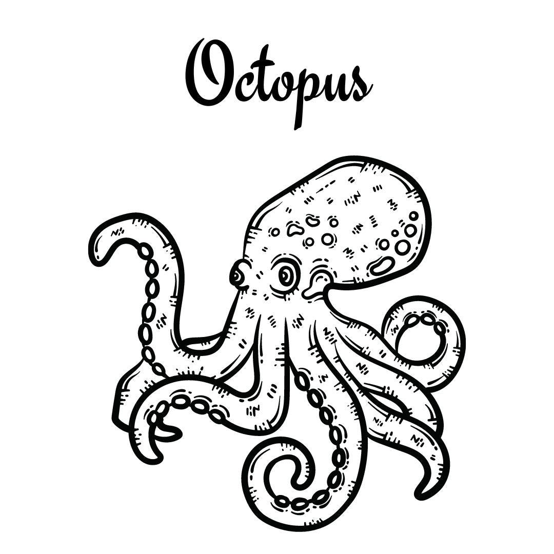 Ocean Creatures Coloring Book