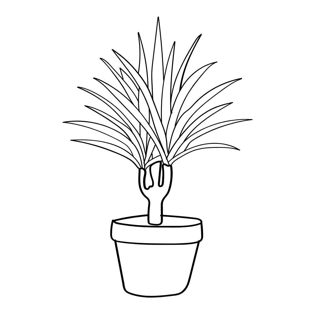 House Plants Coloring Book