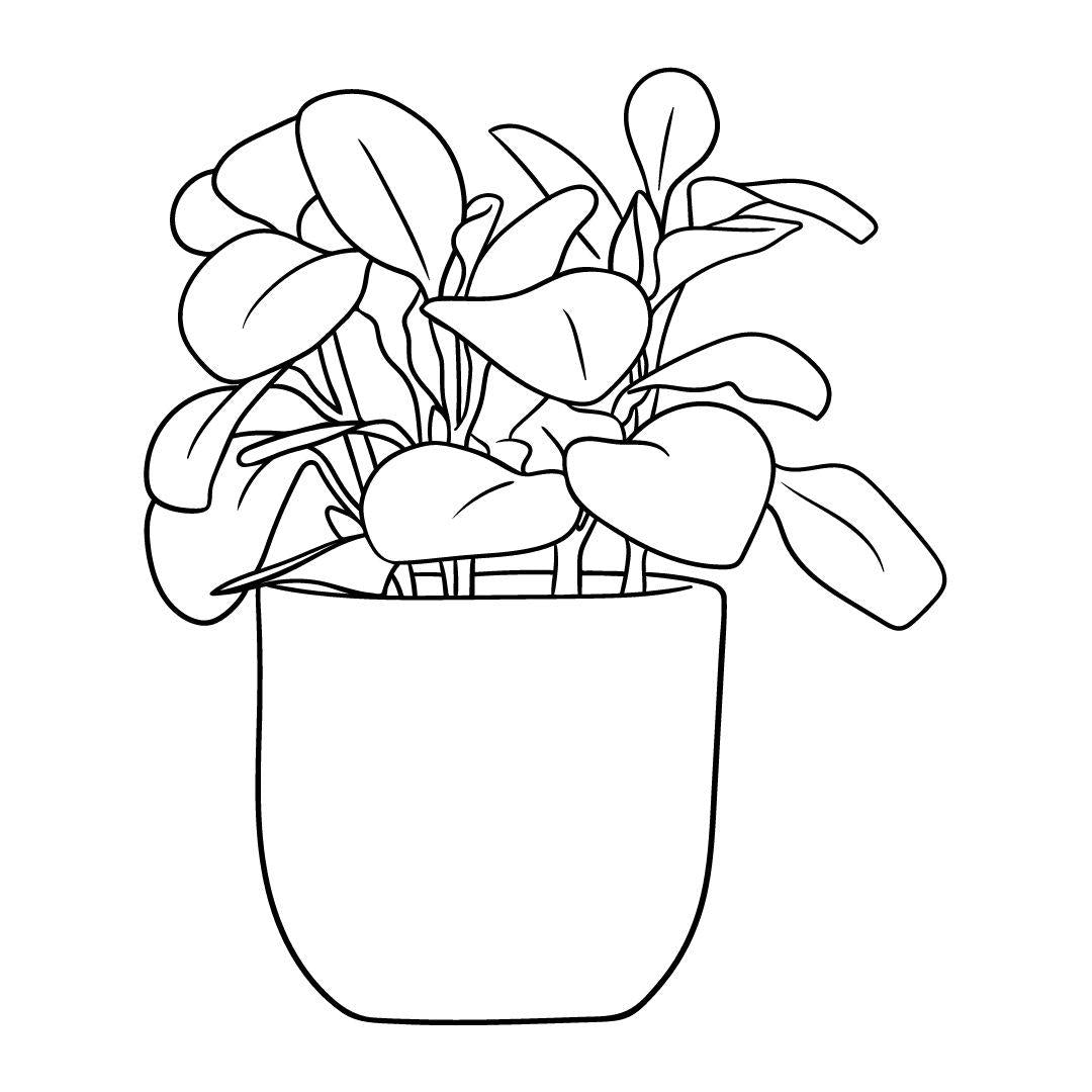 House Plants Coloring Book